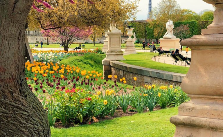 Read more about the article INTRODUCTION – Gardens in the world