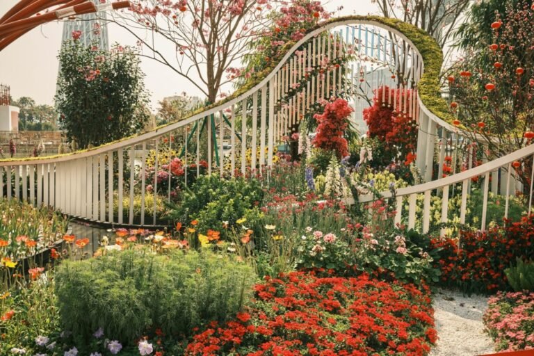 Read more about the article INTRODUCTION – Plant composition in the garden