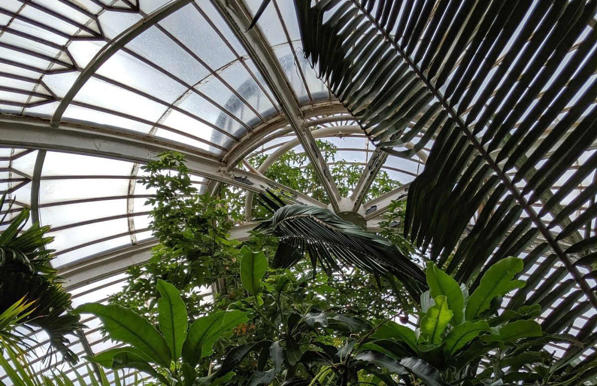 Royal Botanic Gardens – Kew Gardens