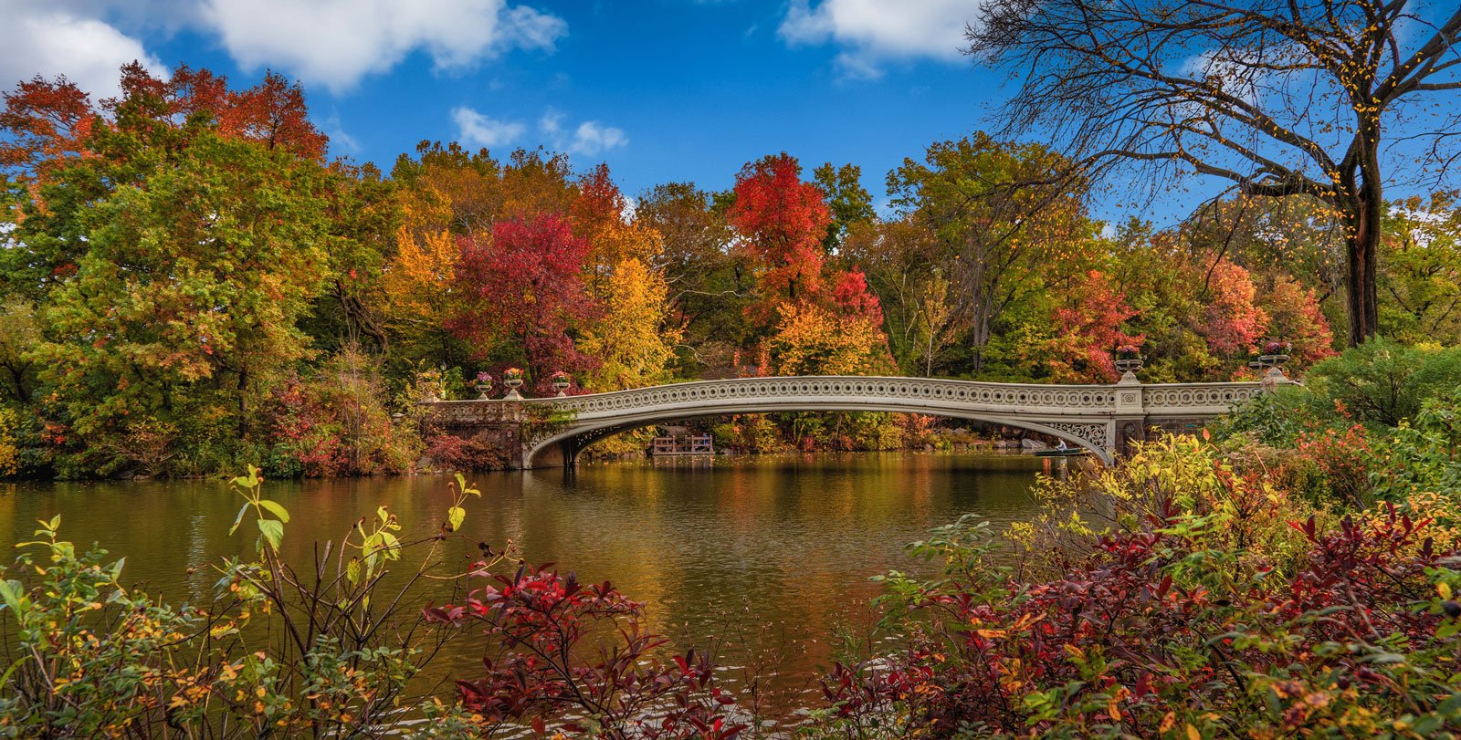 Al momento stai visualizzando Central Park, New York