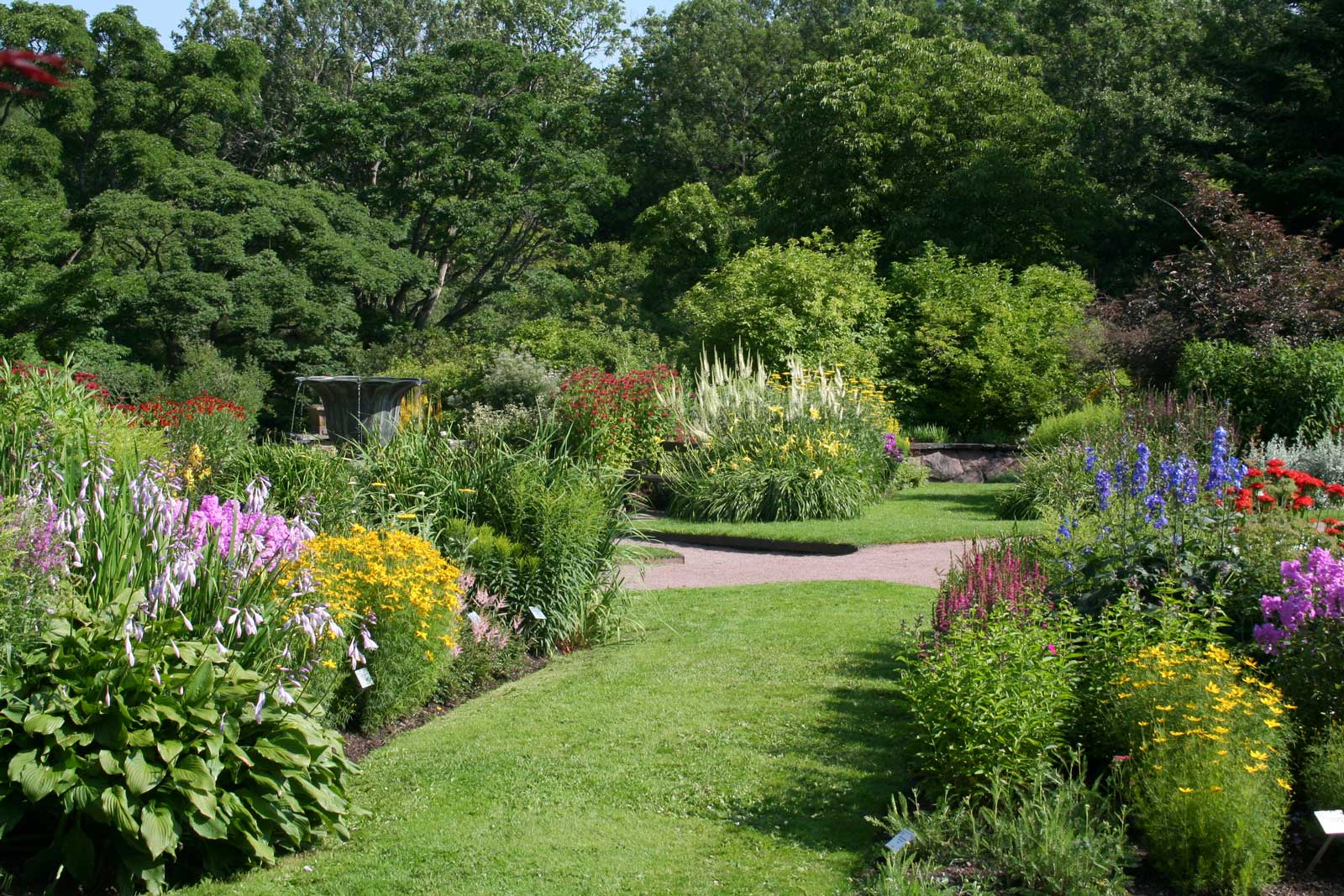 Al momento stai visualizzando INTRODUZIONE – La pianta giusta al posto giusto