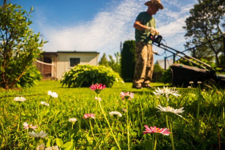 Scopri di più sull'articolo I lavori del mese: giardini e terrazzi in Agosto