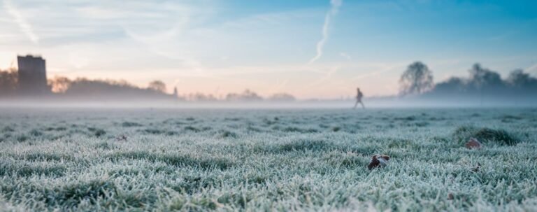 Scopri di più sull'articolo Malattie fungine del prato in autunno-inverno