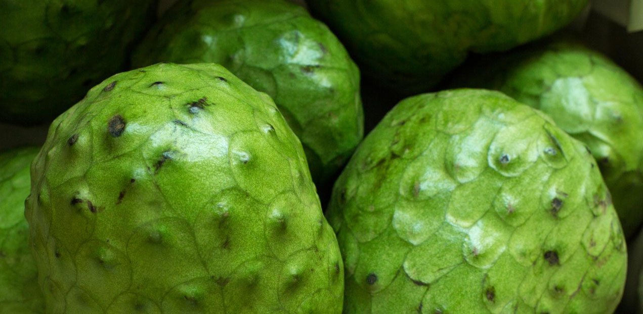 Al momento stai visualizzando Conosciamo una nuova pianta da frutto: la Anona