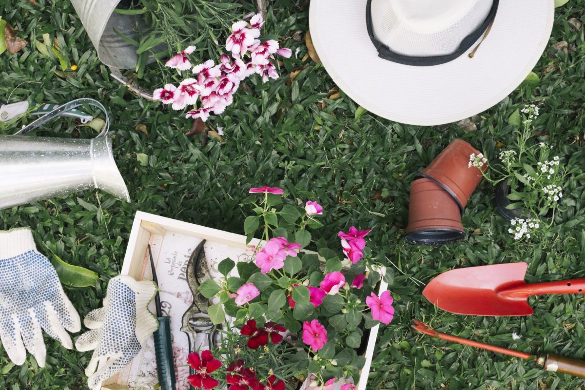 Giardini e terrazzi a Luglio