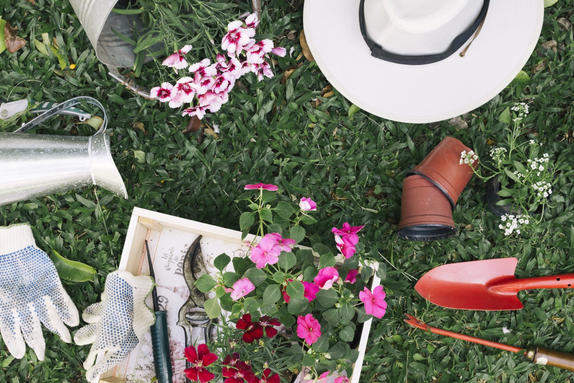 Giardini e terrazzi a Luglio