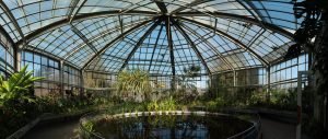 Scopri di più sull'articolo Giardino botanico di Cluj: un viaggio intorno al mondo, senza lasciare la Romania.