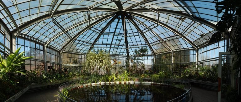 Read more about the article Grădina Botanică din Cluj – o călătorie în jurul lumii, fără să pleci din România