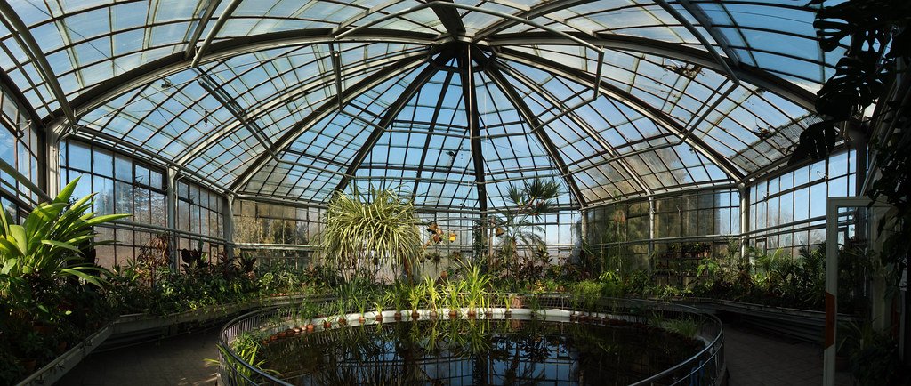 Giardino botanico di Cluj: un viaggio intorno al mondo, senza lasciare la Romania.
