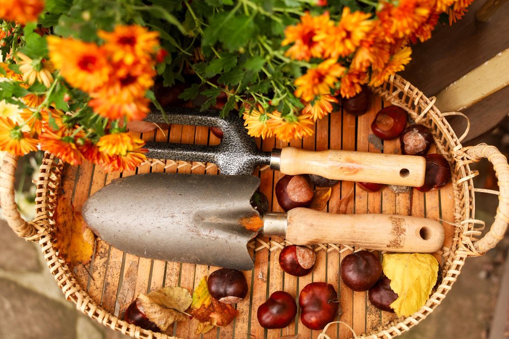 I lavori del mese: Ottobre